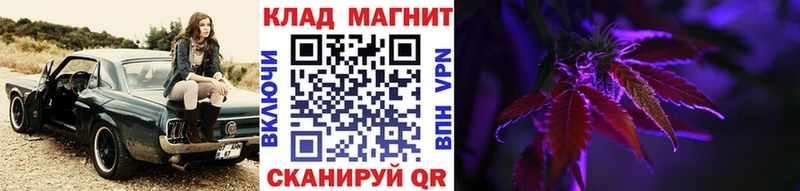 Как найти закладки Новый Оскол КОКАИН  Галлюциногенные грибы  БУТИРАТ  ГАШИШ  Мефедрон  СОЛЬ 