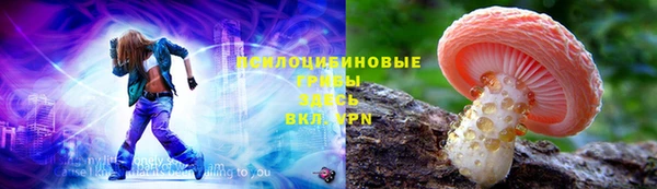 СК Надым