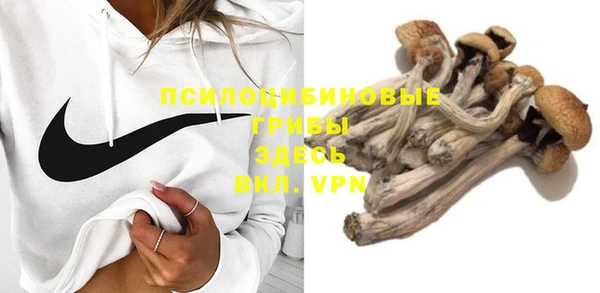 скорость Бородино