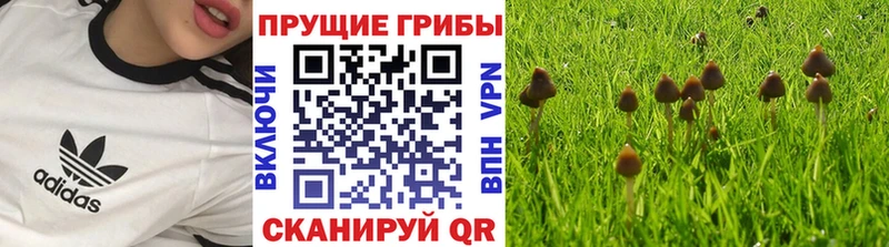 Галлюциногенные грибы MAGIC MUSHROOMS Новый Оскол